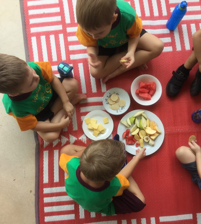 Preschool nutrition program